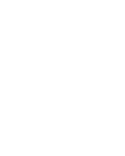 Velorbis Copenhagen